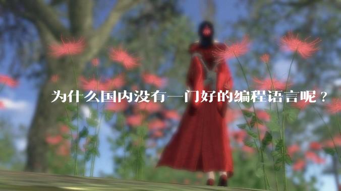 为什么国内没有一门好的编程语言呢?
